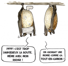 Illustration : Cyril Girard (www.cyrilgirard.fr)